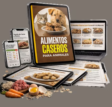 Alimentos Caseros para Animales
